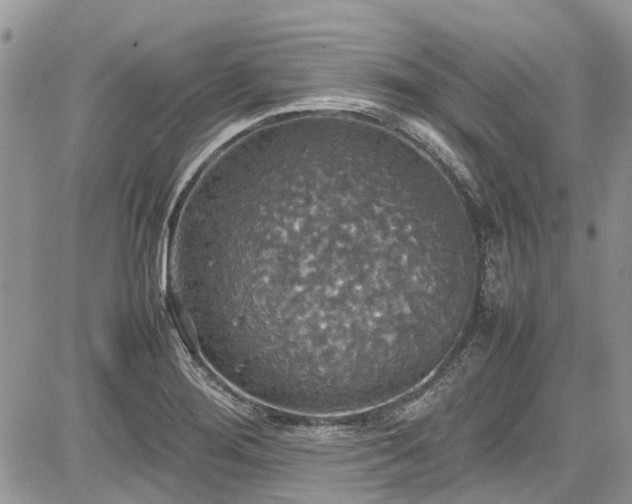 X0000085271276200703161420