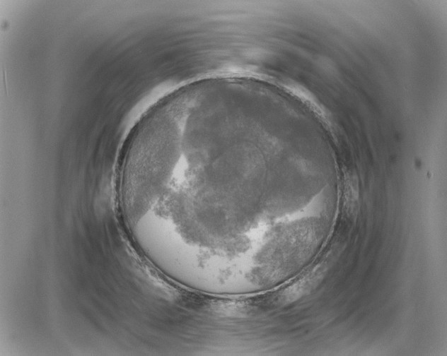 X0000085271278200703161420