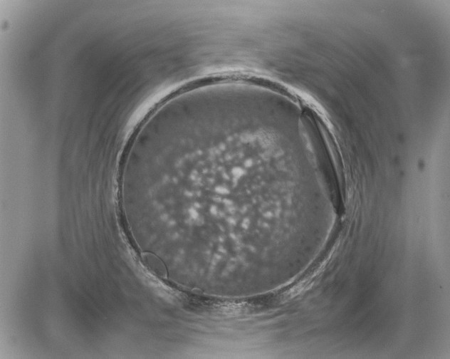 X0000085271279200703161420