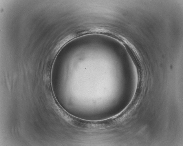 X0000085271281200703161420