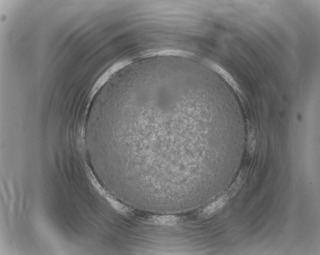 X0000085271282200703161420