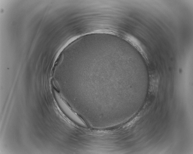 X0000085271284200703161420