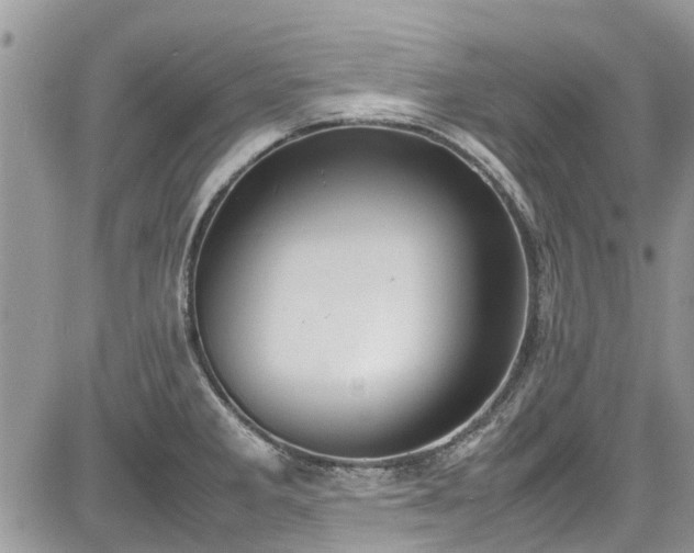 X0000085271285200703161420