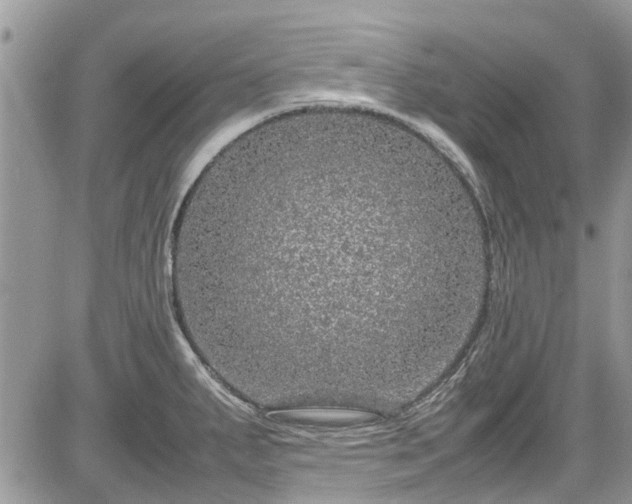 X0000085271287200703161420