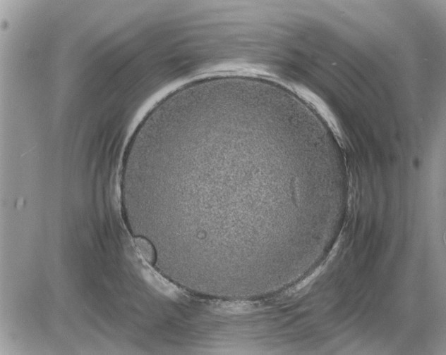 X0000085271288200703161420