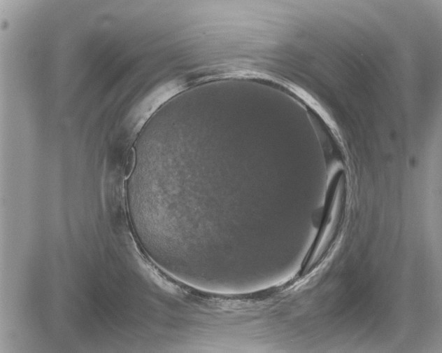 X0000085271289200703161420