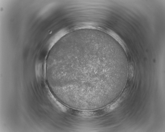 X0000085271290200703161420