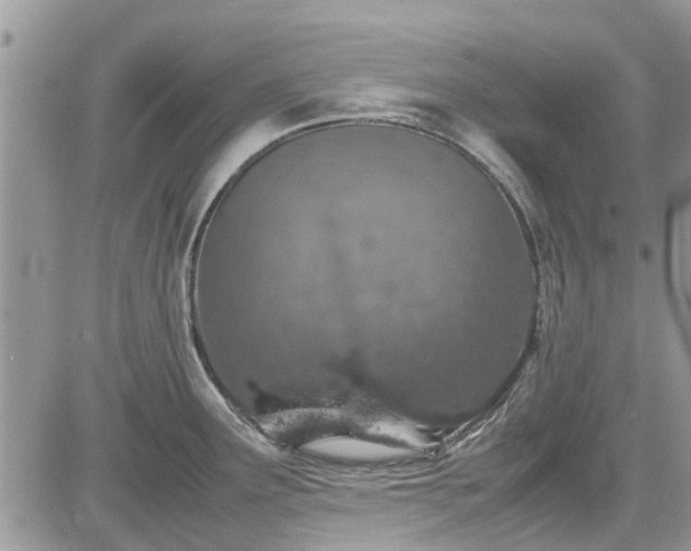 X0000085271291200703161420