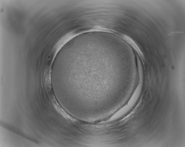 X0000085271292200703161420