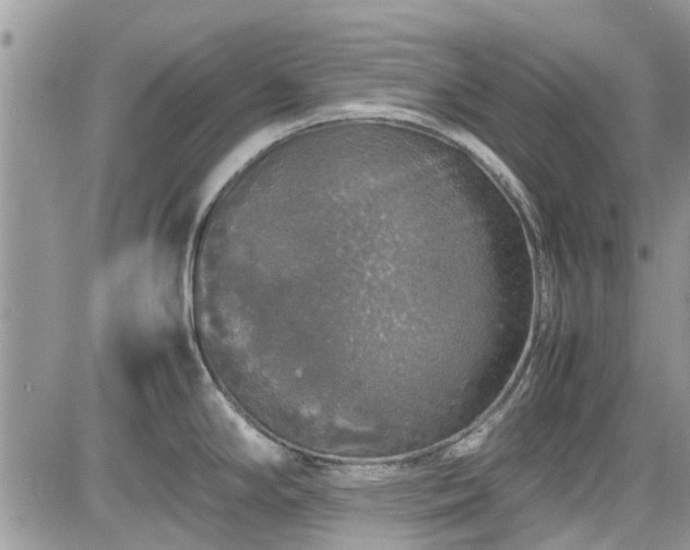 X0000085271294200703161420