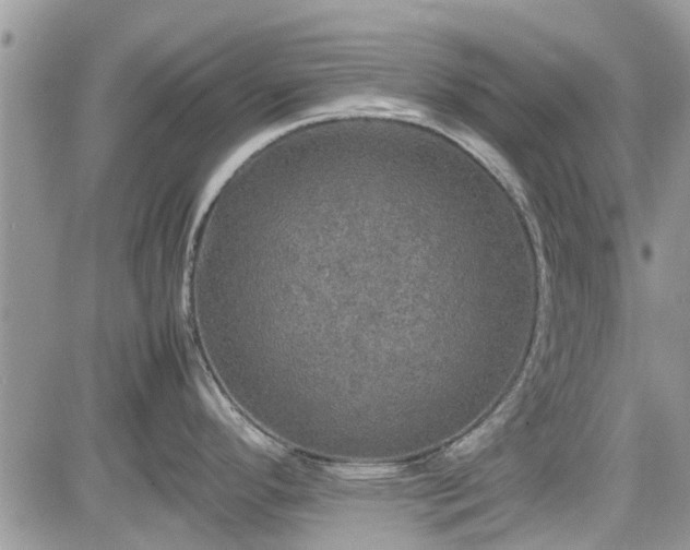 X0000085271296200703161420