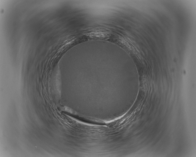 X0000085271297200703161419