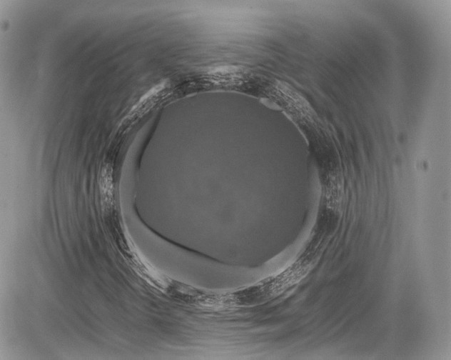 X0000085271298200703161419