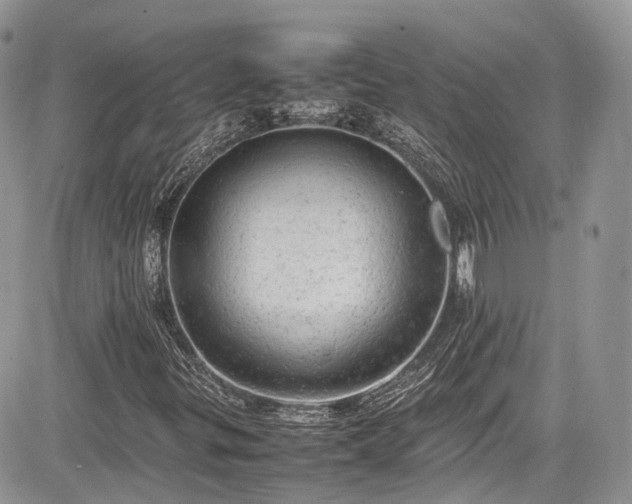 X0000085271299200703161419