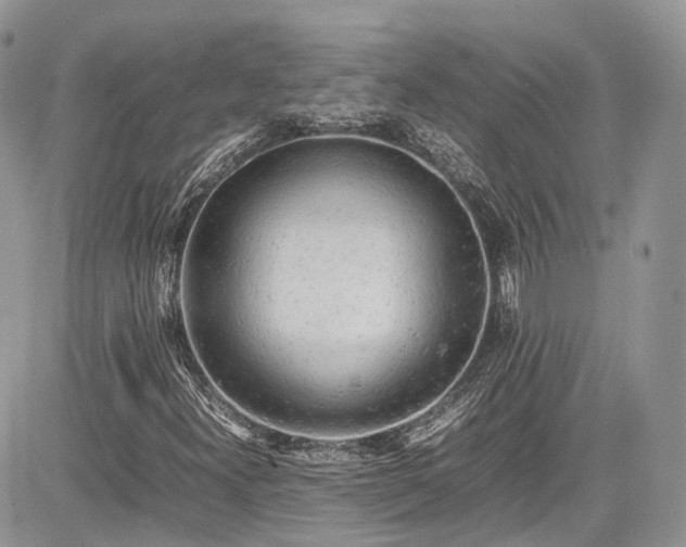 X0000085271300200703161419