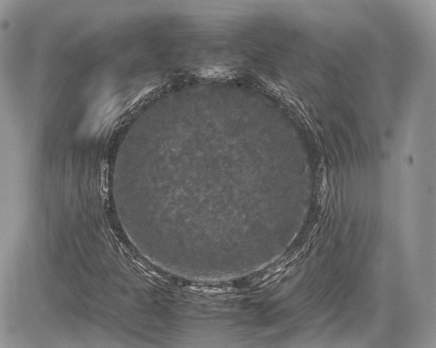 X0000085271301200703161419