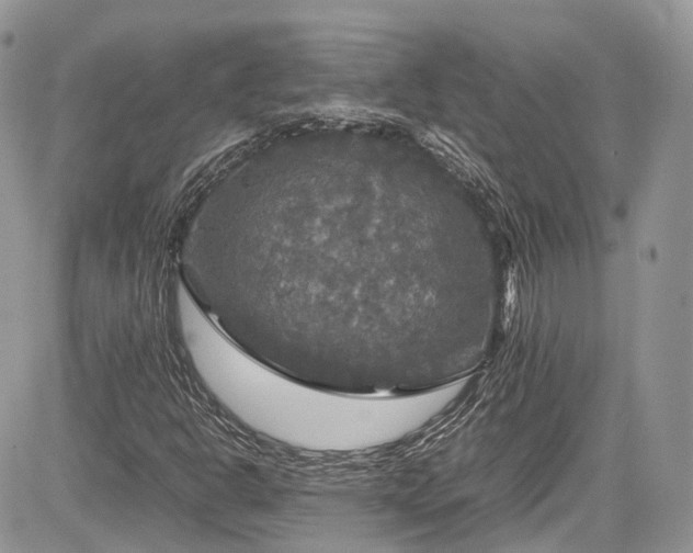 X0000085271302200703161419