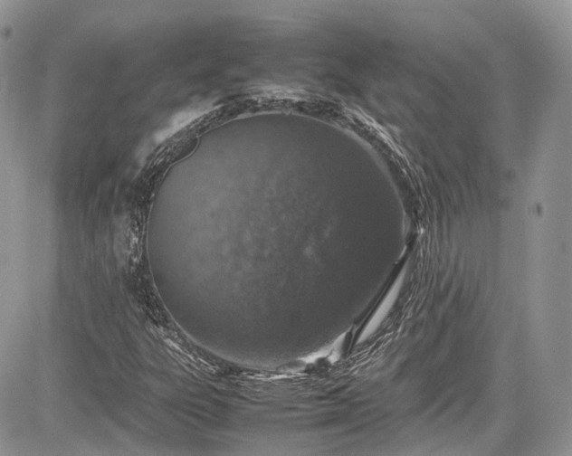 X0000085271303200703161419