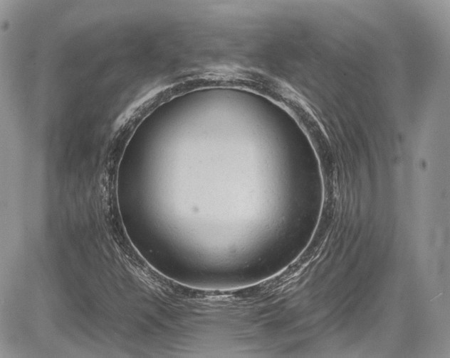 X0000085271304200703161419