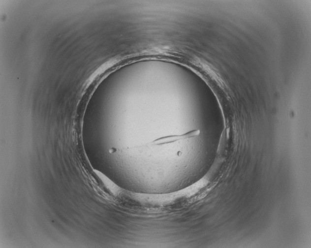 X0000085271308200703161419