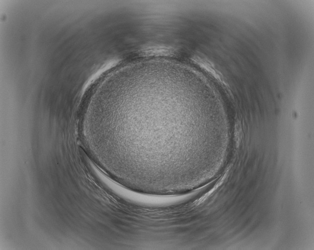 X0000085271309200703161419