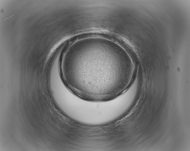 X0000085271310200703161419