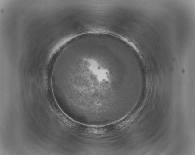 X0000085271311200703161419