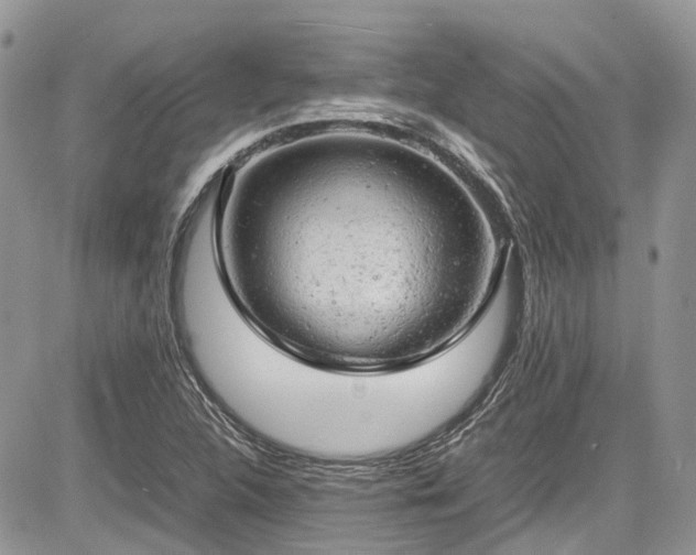 X0000085271312200703161419