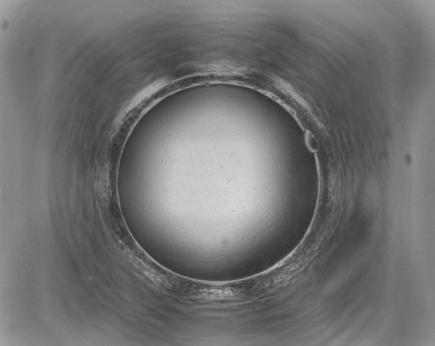 X0000085271315200703161419