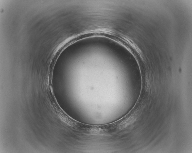 X0000085271316200703161419