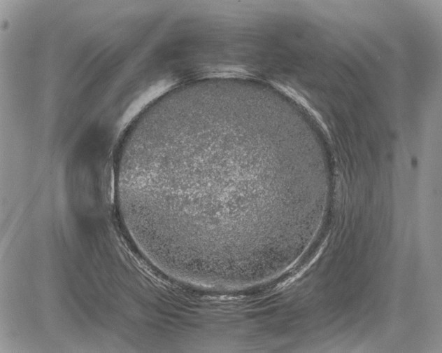 X0000085271317200703161419