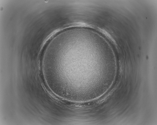 X0000085271318200703161419