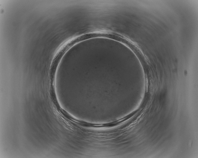 X0000085271319200703161419