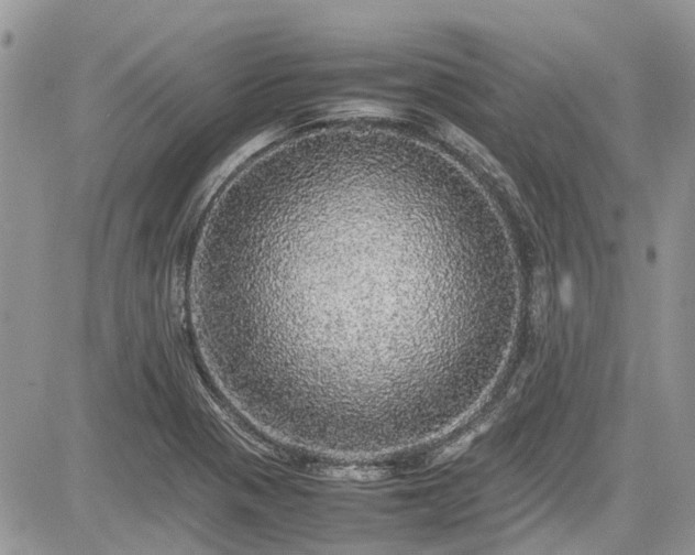 X0000085271321200703161419