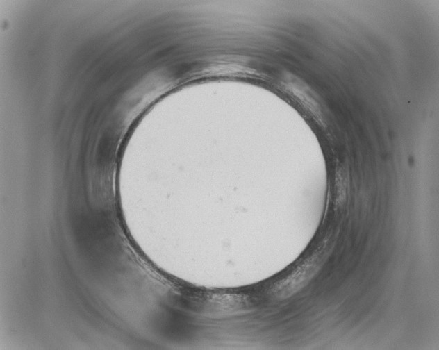 X0000085271322200703161419