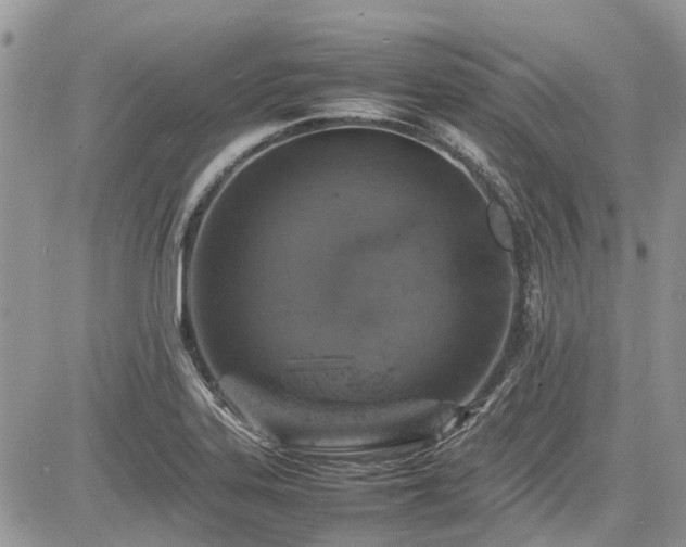 X0000085271323200703161419