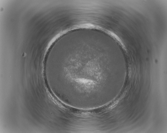 X0000085271326200703161420