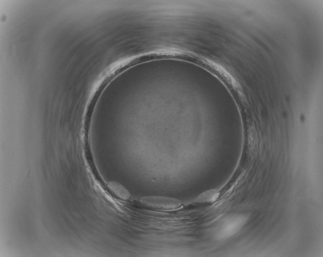 X0000085271327200703161420