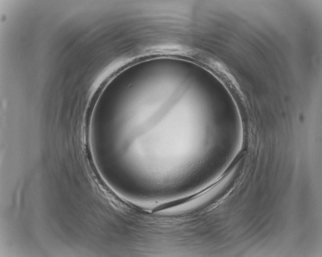 X0000085271328200703161420