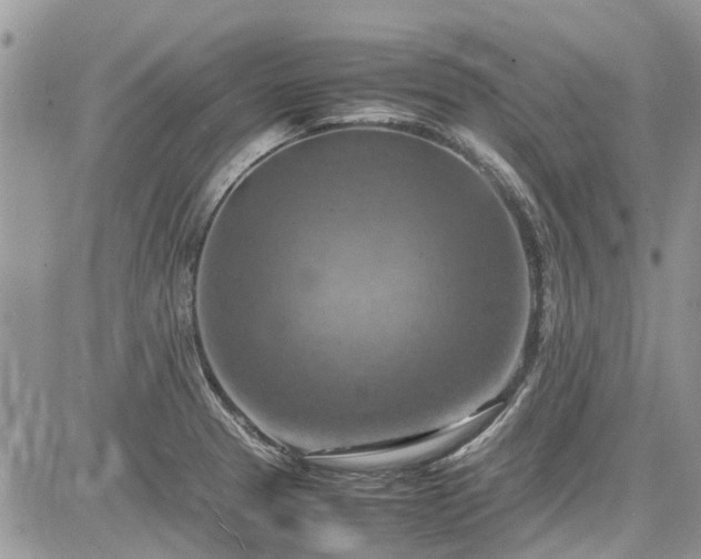 X0000085271329200703161420