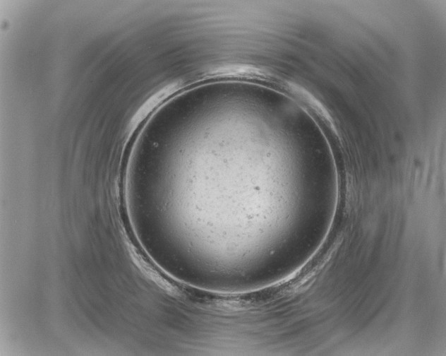 X0000085271330200703161420