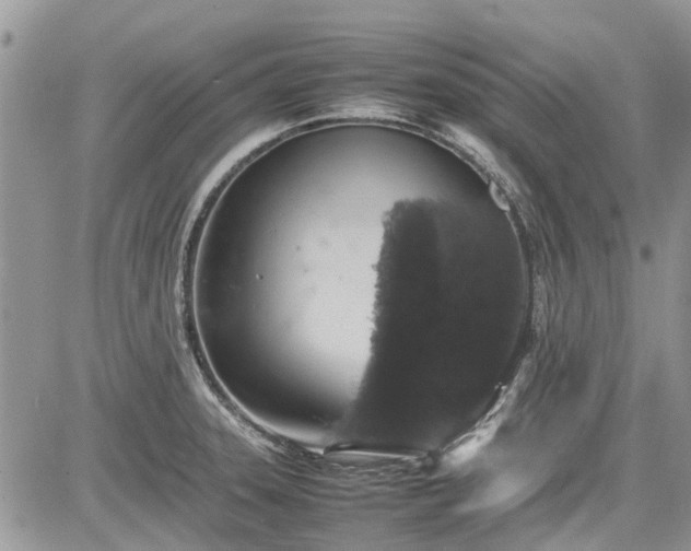 X0000085271331200703161420