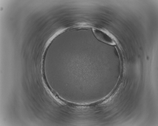 X0000085271333200703161420