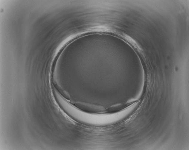 X0000085271334200703161420