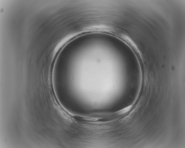 X0000085271336200703161420