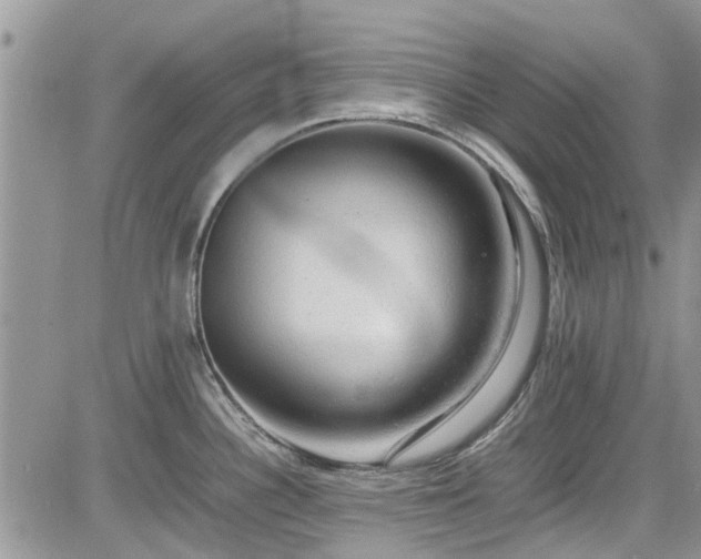 X0000085271340200703161420