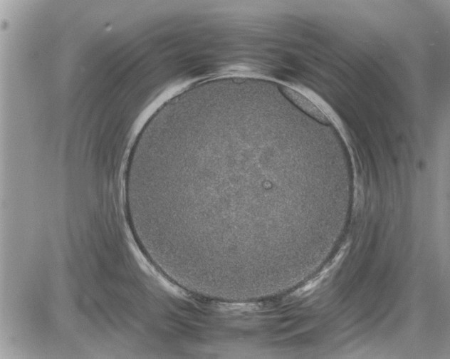 X0000085271341200703161420