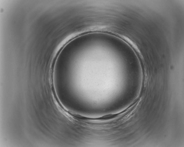 X0000085271342200703161420