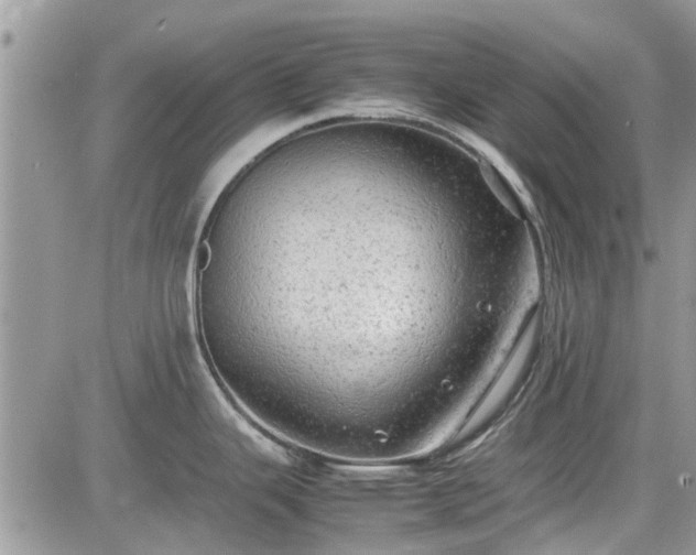 X0000085271343200703161420