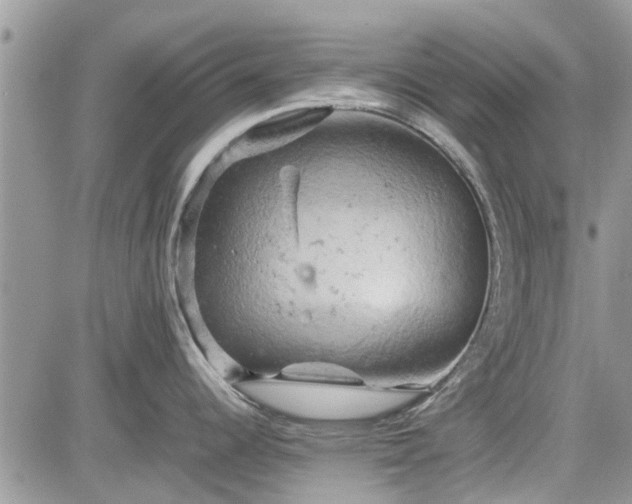 X0000085271344200703161420